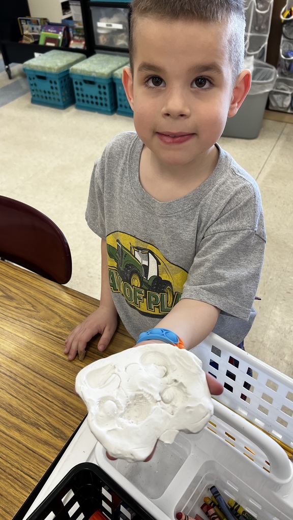 Kindergarten student learning about fossils