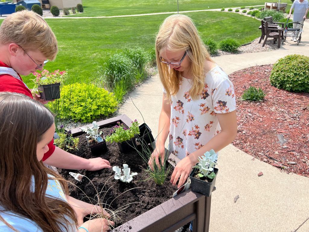 Students planting flowers