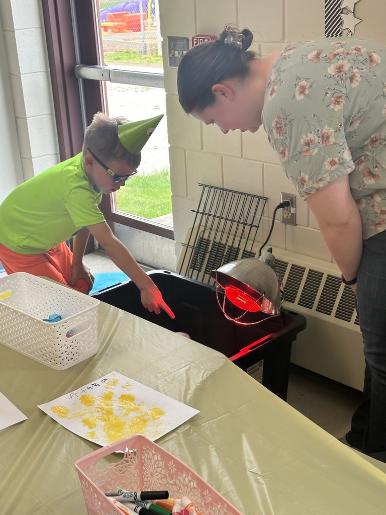 students observing baby chicks