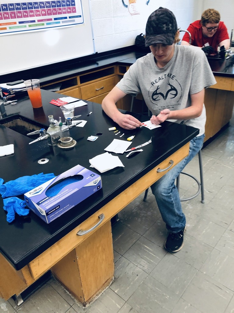 Student testing blood