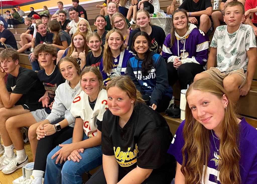 Volleyball fans